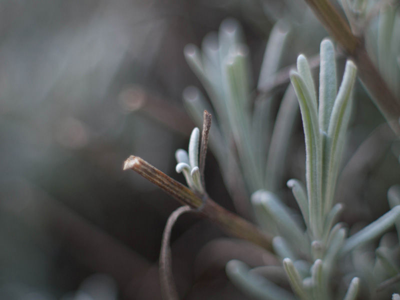 Test Bague inversion Bague_12