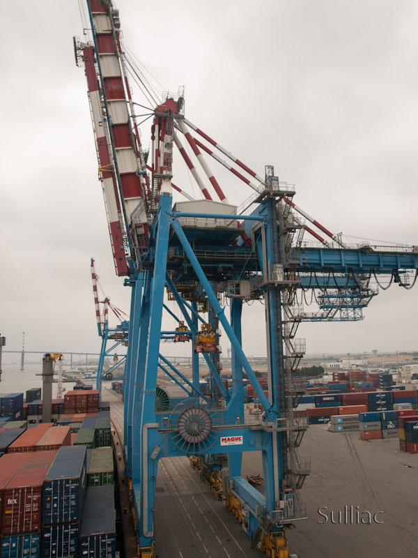 Petite Grue Grue_03