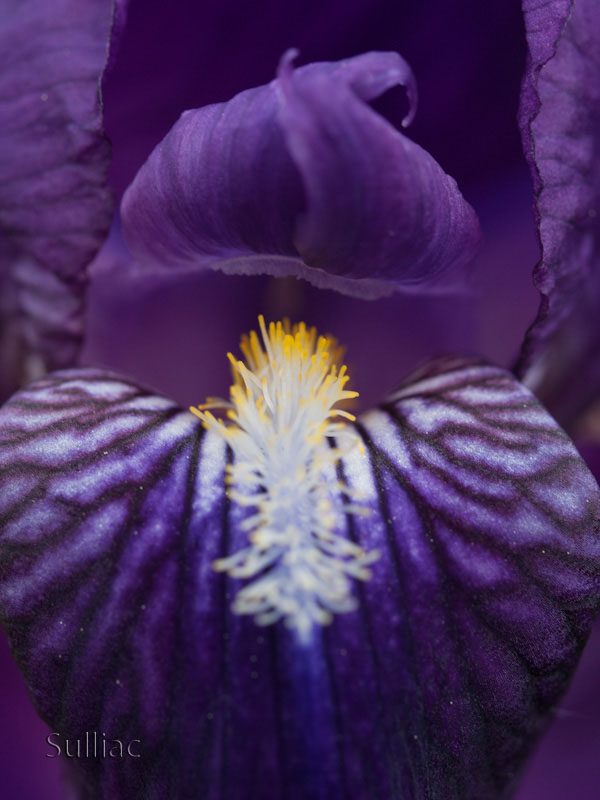 conseil Objectif Macro Test_50_03
